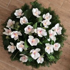 9. Fekvő koszorú orchidea - fehér, sárga, zöld, rózsaszín,bordó színekben is kérhető