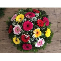 54. Fekvő koszorú gerbera, rezgő 