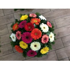 61. Fekvő koszorú gerberafehér és vegyes színben is kérhető