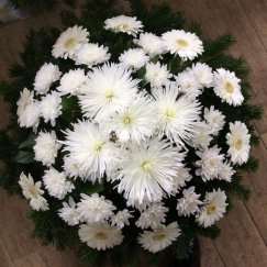 67. Fekvő koszorú gerbera, krizantém