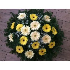 76. Fekvő koszorú gerbera, rezgőtiszta fehér, vegyes színű, piros, sárga, rózsaszín , narancs gerberából is kérhető