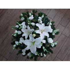 83. Fekvő koszorú liliom, szellőrózsa 